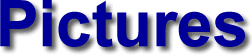 Pictures